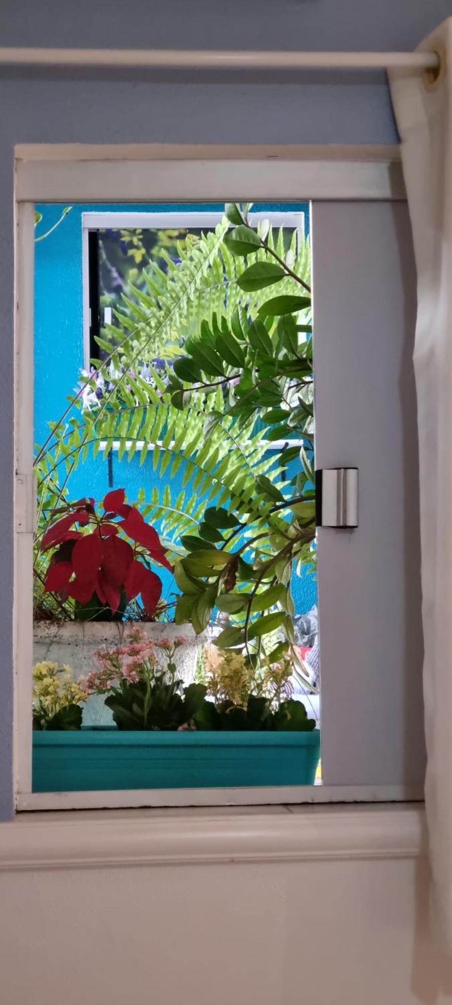 Pousada Recanto Da Familia 나탈 외부 사진
